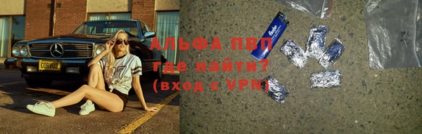 PSILOCYBIN Нязепетровск